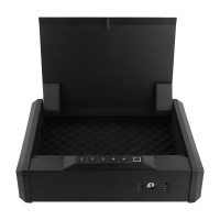 Password, fingerprint, key lock system security safe
